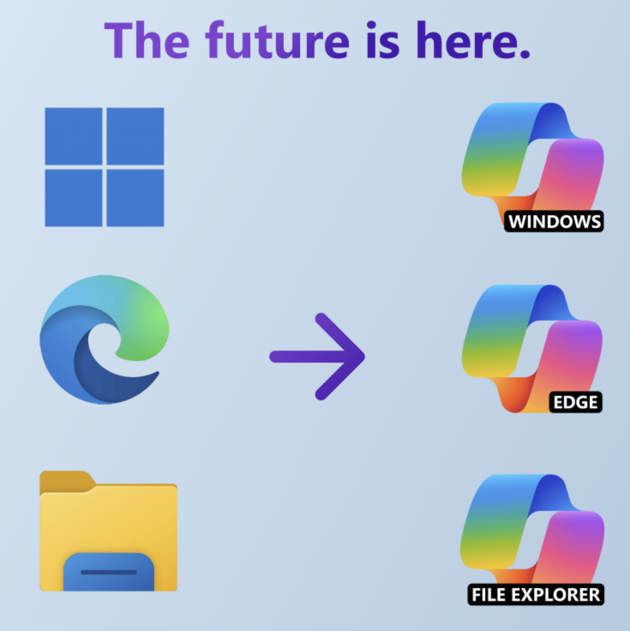 Microsoft 365 Rebranding